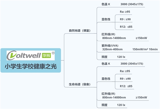 小學(xué)生學(xué)校健康之光.png 小學(xué)生學(xué)校健康之光.png